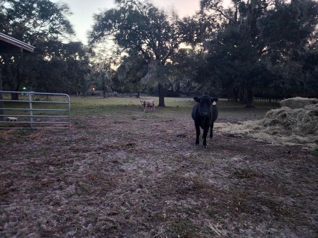 11419 OLD CRYSTAL RIVER ROAD, Brooksville, FL 34601