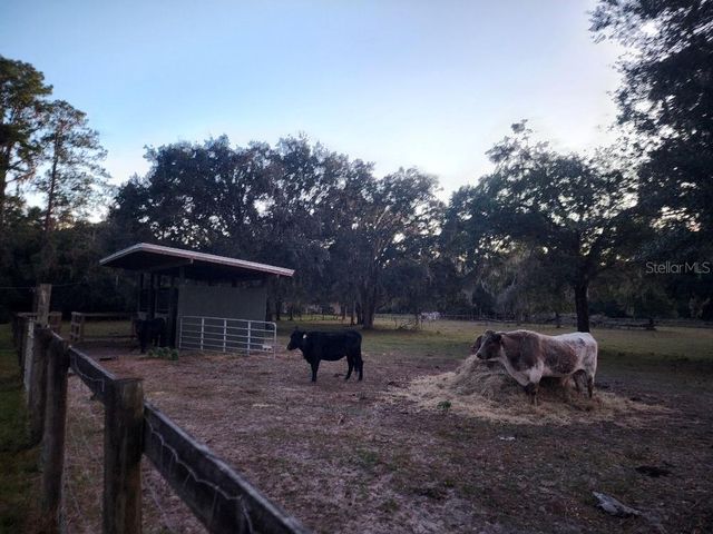 11419 OLD CRYSTAL RIVER ROAD, Brooksville, FL 34601