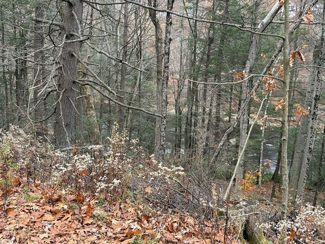 0 Old Farley Rd, Wendell, MA 01379