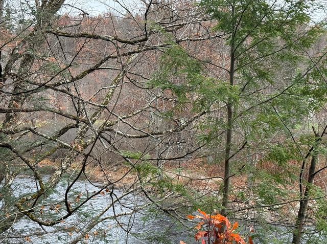 0 Old Farley Rd, Wendell, MA 01379