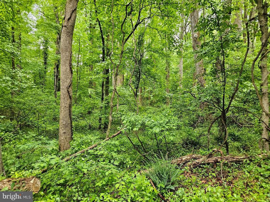 HENRY GARNETT AVENUE, Aquasco, MD 20608