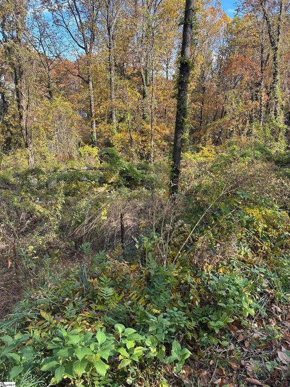 00 Altamont Road, Greenville, SC 29609