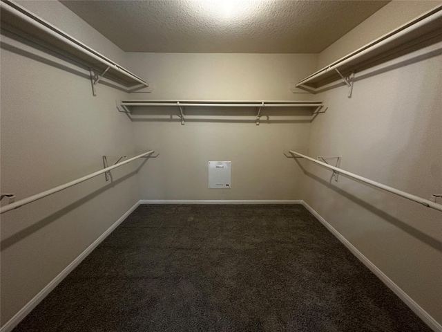 4919 Kasos Isle Drive, Spring, TX 77388