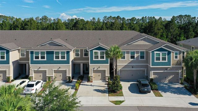 5950 GRAND SONATA AVENUE, Lutz, FL 33558