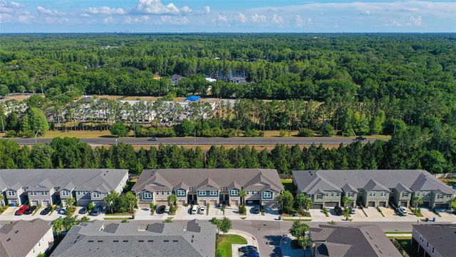 5950 GRAND SONATA AVENUE, Lutz, FL 33558