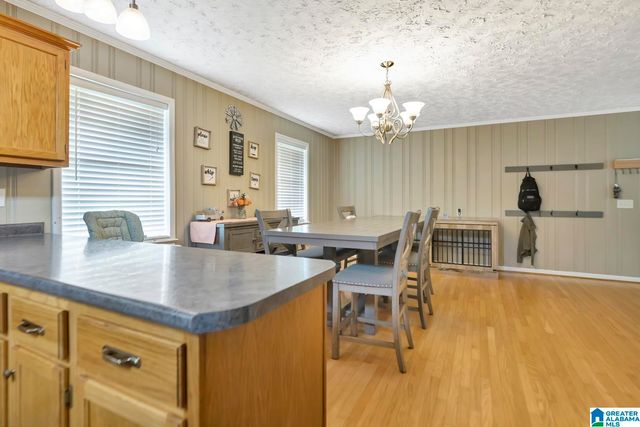 316 5TH STREET N, Pell City, AL 35125