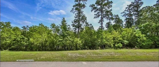 27588 S Lazy Meadow Way, Spring, TX 77386
