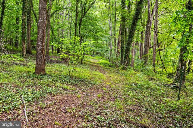 319 FOX HUNTERS LN, Madison, VA 22727