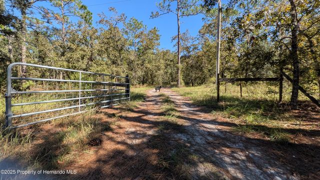 16475 KIDS Avenue, Weeki Wachee, FL 34614