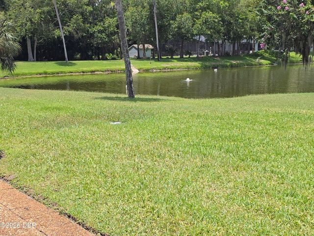 2259 Branchwood Drive, New Smyrna Beach, FL 32168