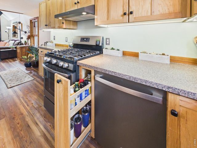131 W Boulder St, Nederland, CO 80466