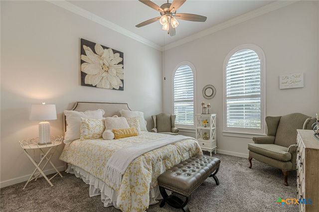 428 Trailing Lantana Lane, San Marcos, TX 78666