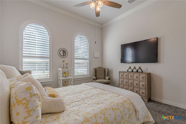 428 Trailing Lantana Lane, San Marcos, TX 78666