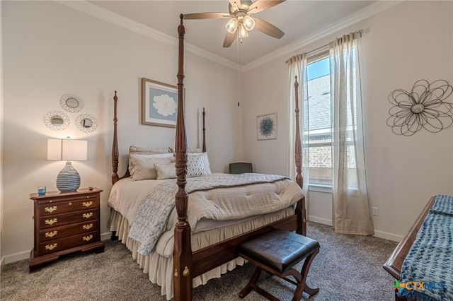 428 Trailing Lantana Lane, San Marcos, TX 78666