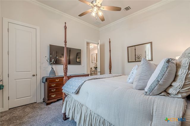 428 Trailing Lantana Lane, San Marcos, TX 78666