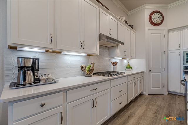 428 Trailing Lantana Lane, San Marcos, TX 78666