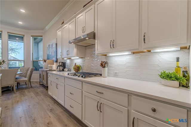 428 Trailing Lantana Lane, San Marcos, TX 78666