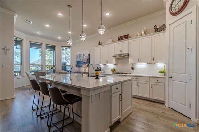 428 Trailing Lantana Lane, San Marcos, TX 78666