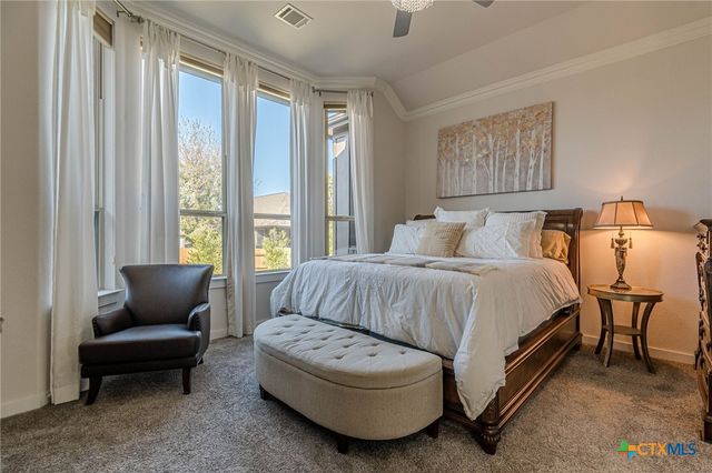 428 Trailing Lantana Lane, San Marcos, TX 78666