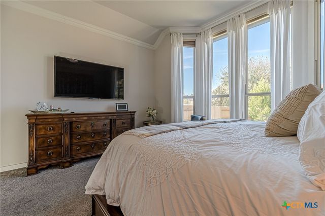 428 Trailing Lantana Lane, San Marcos, TX 78666