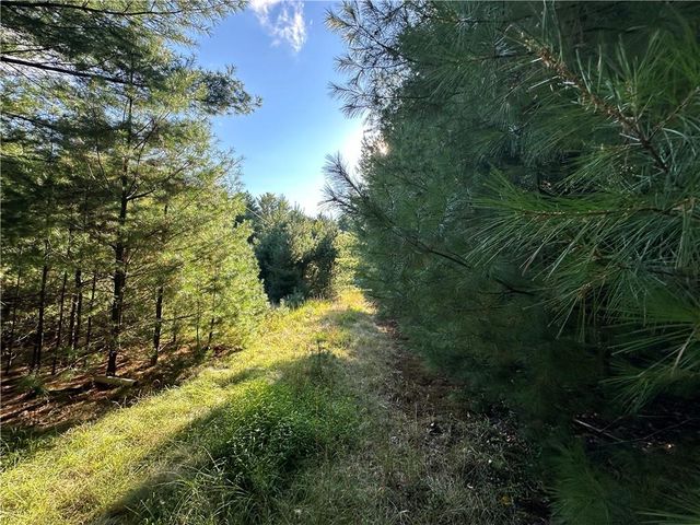 Lot 15-8 Ward Brower Jr Drive, Barryville, NY 12719