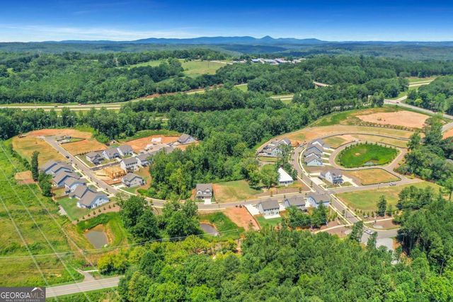 372 Conifer Lane, Ball Ground, GA 30107