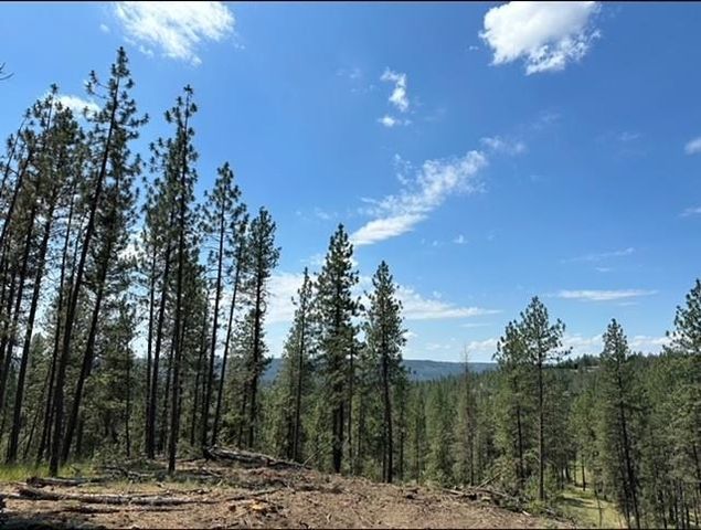 NKA Weaver Way, Deer Park, WA 99006