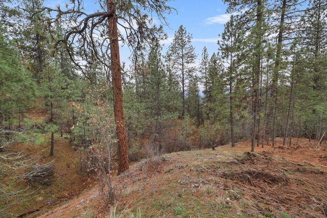 NKA Weaver Way, Deer Park, WA 99006