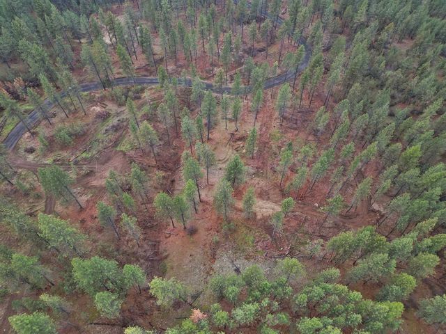 NKA Weaver Way, Deer Park, WA 99006