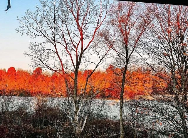 51534 County Road 673, Lawrence, MI 49064