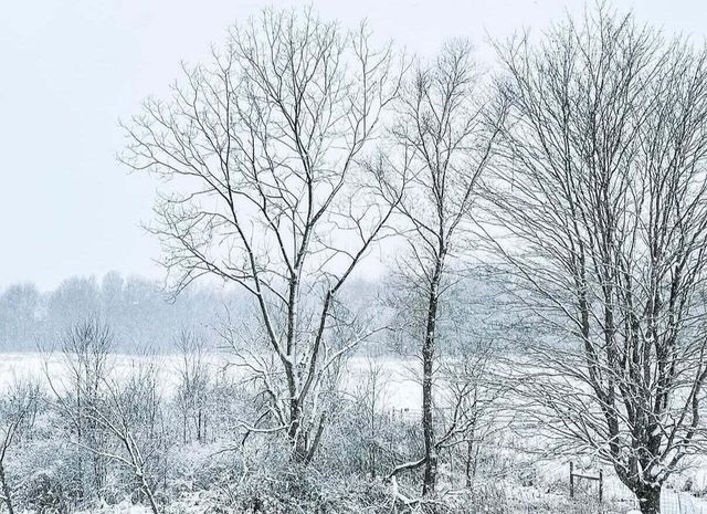 51534 County Road 673, Lawrence, MI 49064