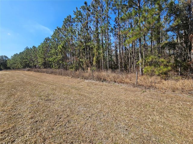 13308 DUCK LAKE CANAL ROAD, Dade City, FL 33525