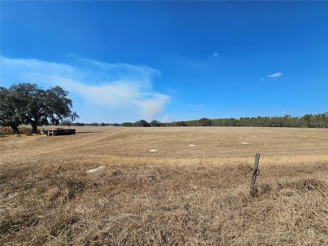 13308 DUCK LAKE CANAL ROAD, Dade City, FL 33525