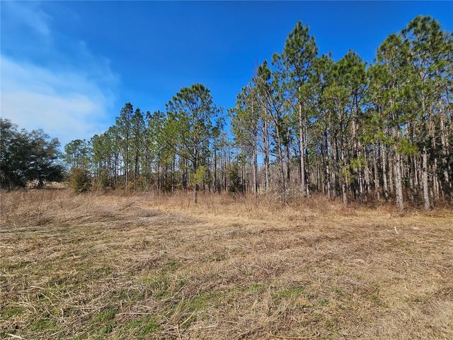 13308 DUCK LAKE CANAL ROAD, Dade City, FL 33525