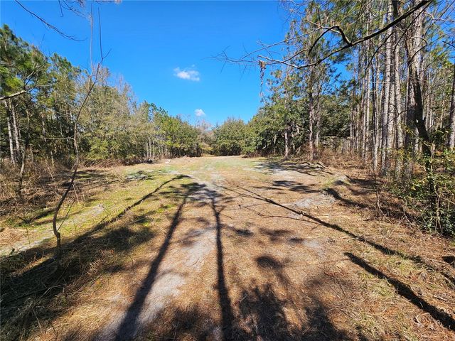 13308 DUCK LAKE CANAL ROAD, Dade City, FL 33525