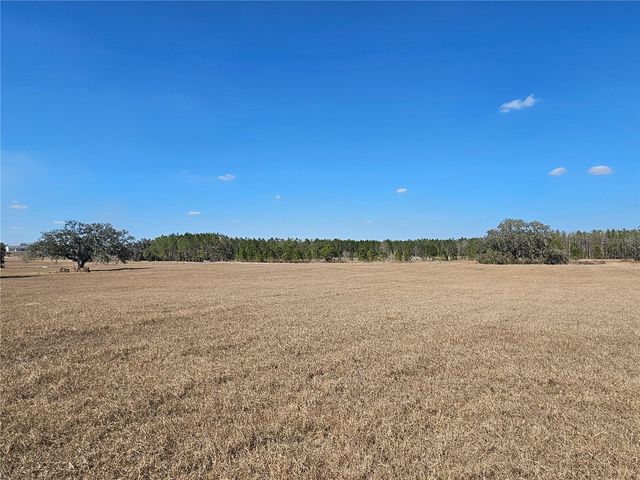13308 DUCK LAKE CANAL ROAD, Dade City, FL 33525