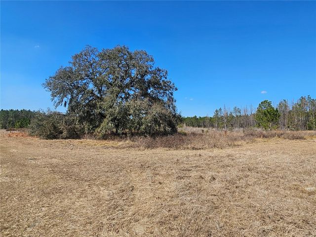 13308 DUCK LAKE CANAL ROAD, Dade City, FL 33525