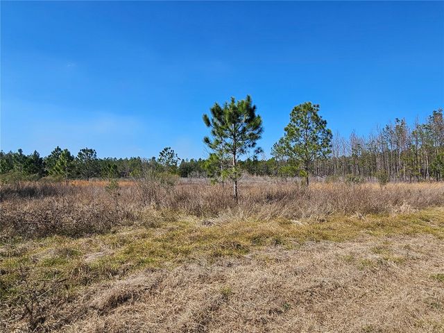 13308 DUCK LAKE CANAL ROAD, Dade City, FL 33525