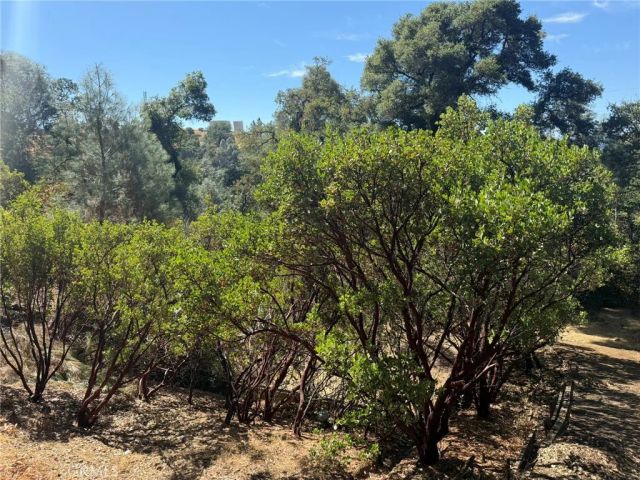 3293 Clay, Nice, CA 95464