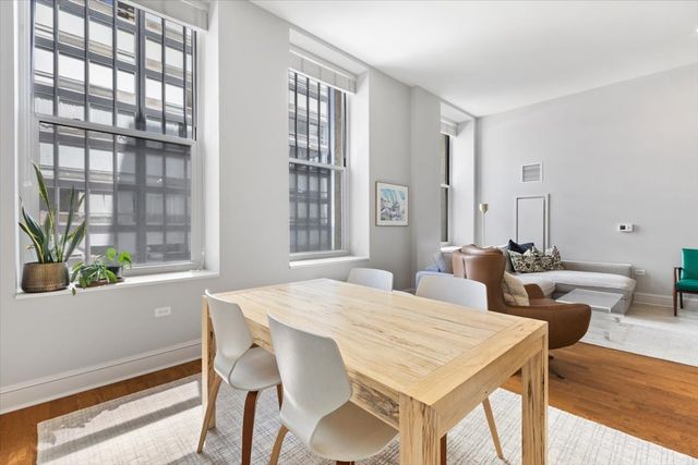 850 N Lake Shore Drive 510, Chicago, IL 60611