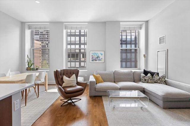 850 N Lake Shore Drive 510, Chicago, IL 60611