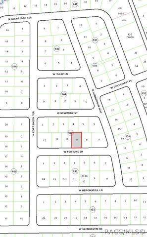 599 W Fortune Lane, Citrus Springs, FL 34434