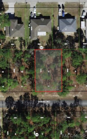 599 W Fortune Lane, Citrus Springs, FL 34434