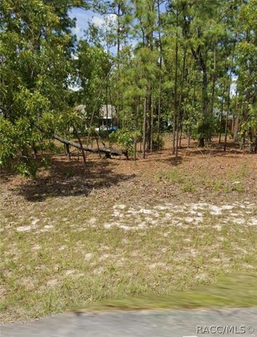 599 W Fortune Lane, Citrus Springs, FL 34434