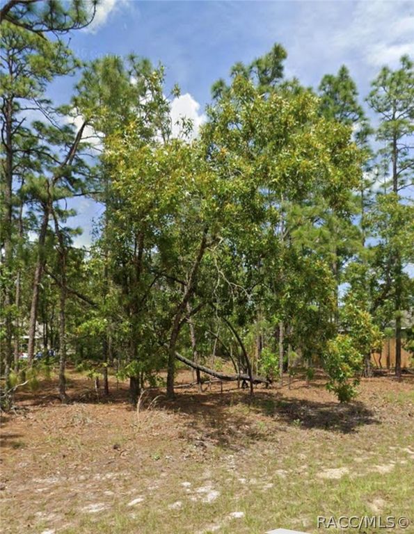599 W Fortune Lane, Citrus Springs, FL 34434