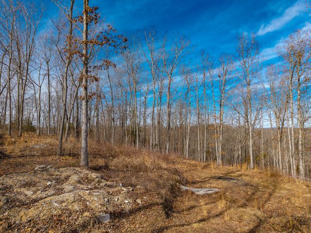 742-5 Rr 2, Ava, MO 65608