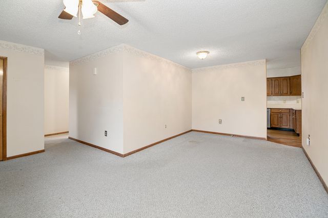 165 Keigher Drive, Manteno, IL 60950