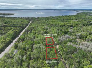 XXX2 Cedar St, Breezy Point, MN 56472