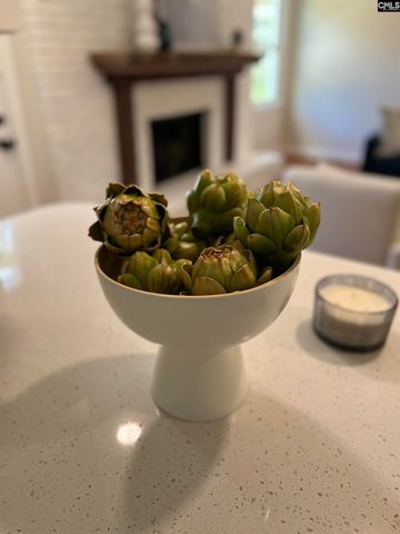 910 Wordsworth Drive, Columbia, SC 29209