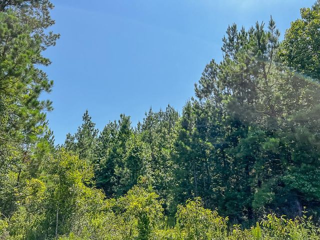 0000 Cr 367, Zavalla, TX 75980